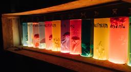 перформанс Корм 2 в Улан-Удэ фото 1